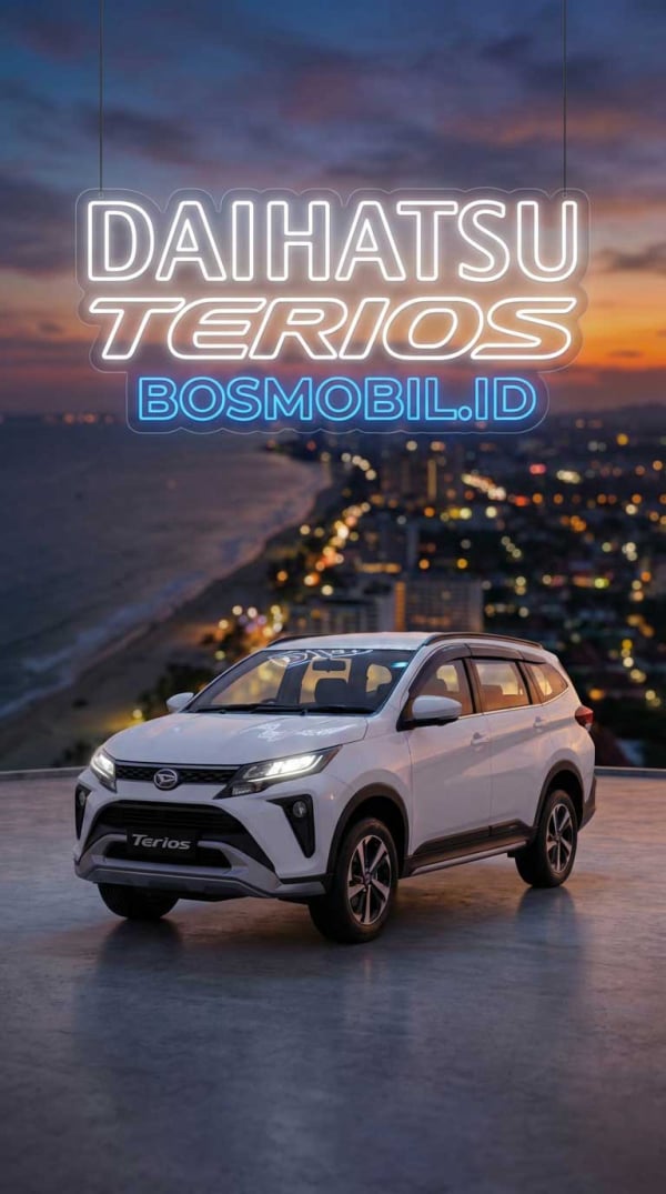Daihatsu Pluit