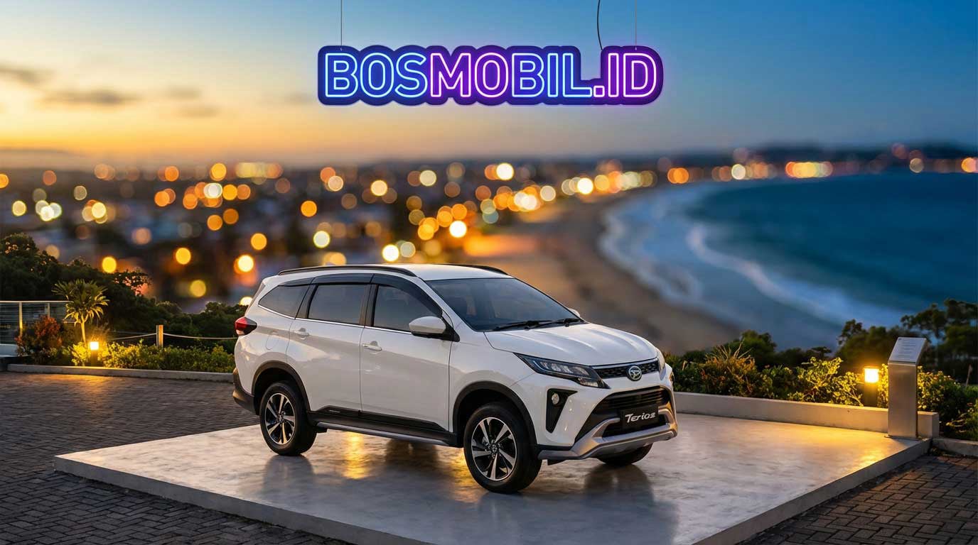 Daihatsu Pluit